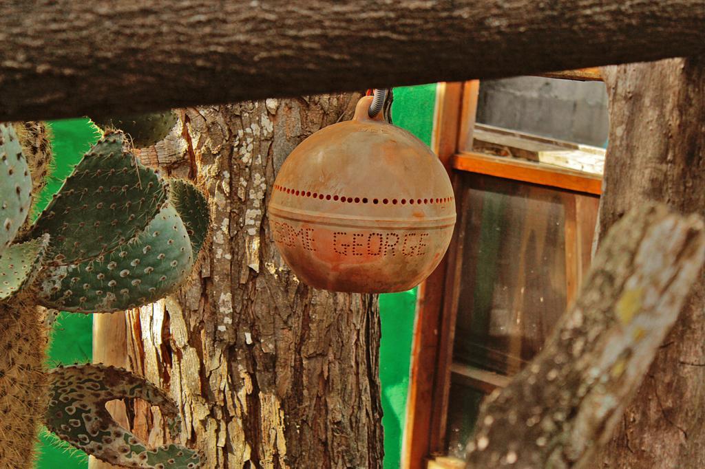 Lonesome George Ecolodge 푸에르토아요라 외부 사진