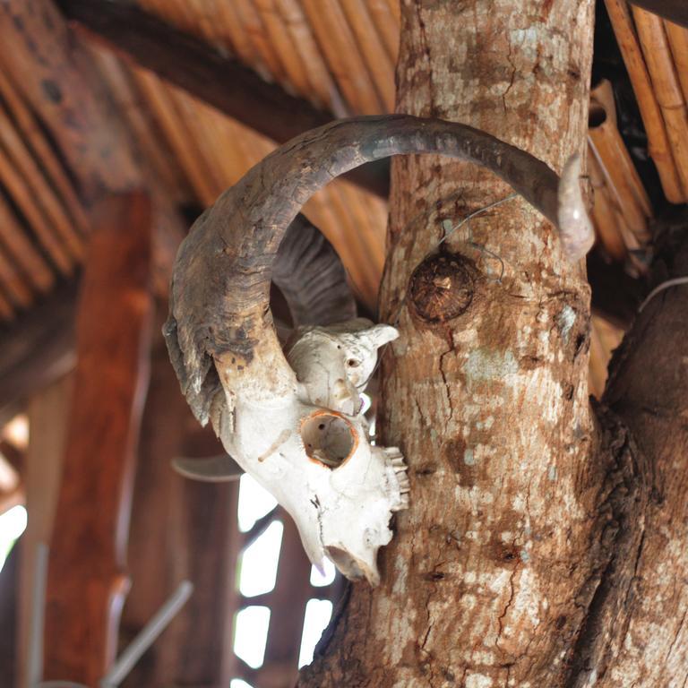 Lonesome George Ecolodge 푸에르토아요라 외부 사진