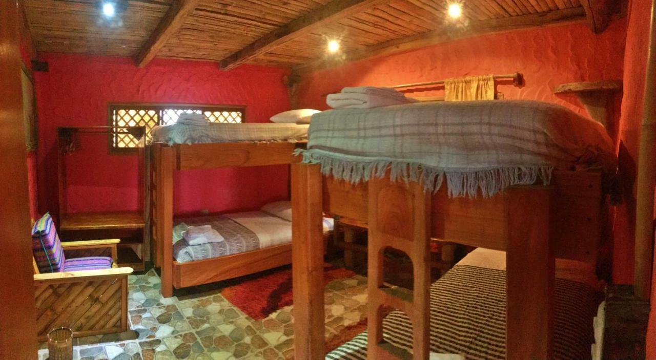 Lonesome George Ecolodge 푸에르토아요라 객실 사진